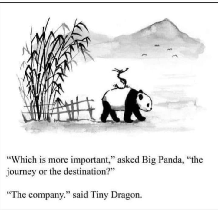 Tiny Dragon Wisdom